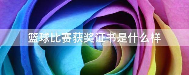 2020年篮球训练总结与反思作文_1